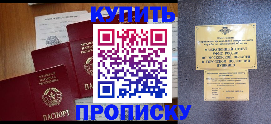 прописка в квартире в Звенигово